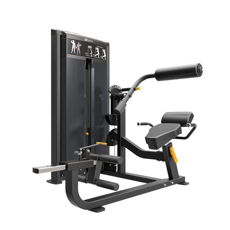 Impulse IF9334 Ab And Back Extension 1 Impulse IF9334 Ab And Back Extension